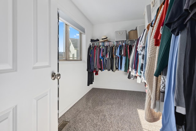 walk in closet featuring visible vents and carpet