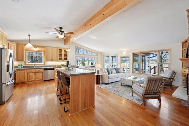 kitchen with a wealth of natural light, appliances with stainless steel finishes, and light wood finished floors