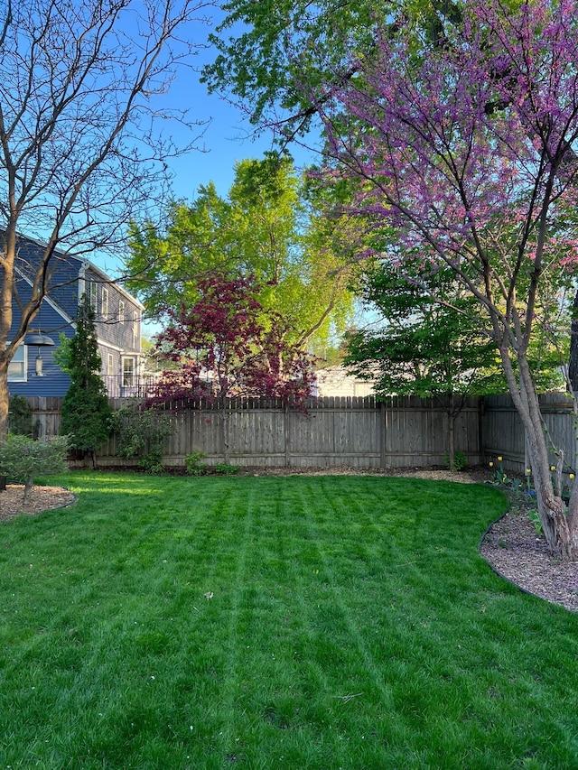 view of yard featuring fence