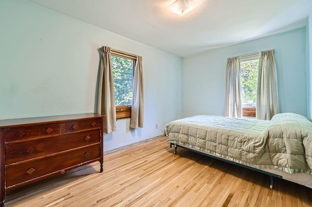 900 Park St, Anoka, MN 55303 - bedroom featuring multiple windows and light wood-type flooring