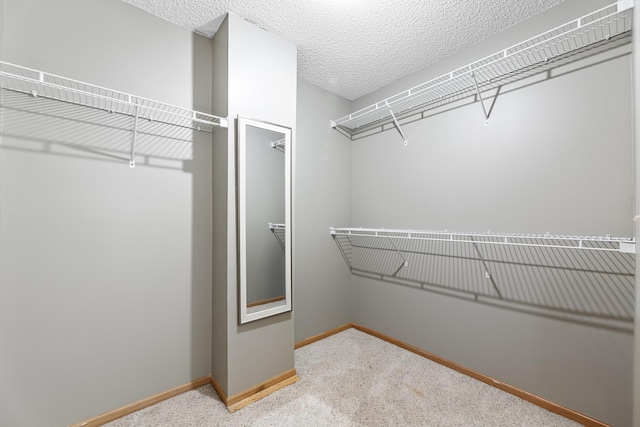 walk in closet with carpet floors