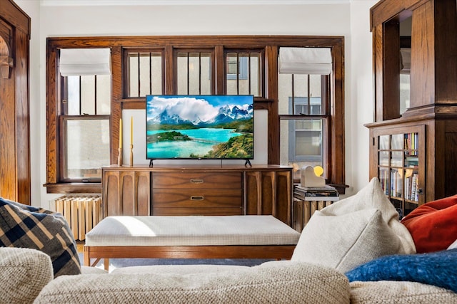 living area featuring a wealth of natural light and radiator