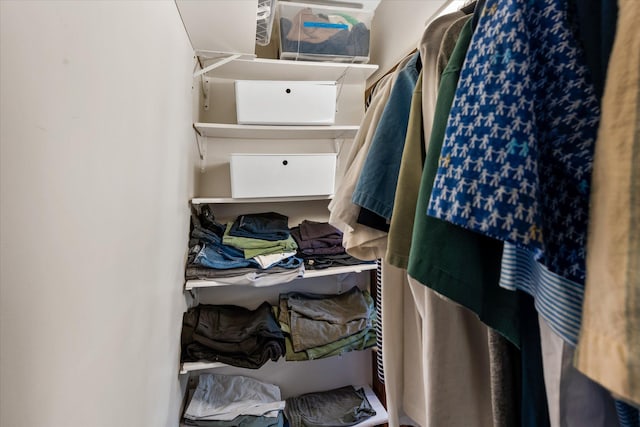 view of spacious closet