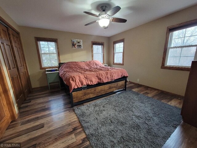 bedroom with multiple windows, ceiling fan, and dark wood-style flooring