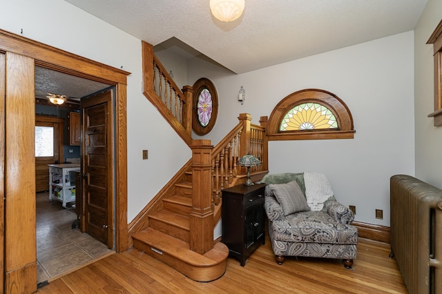909 Center St, Rochester, MN 55904 - photo 6