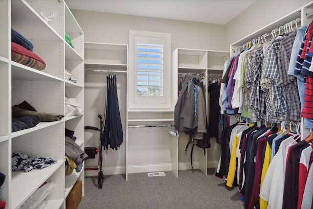 spacious closet featuring carpet floors