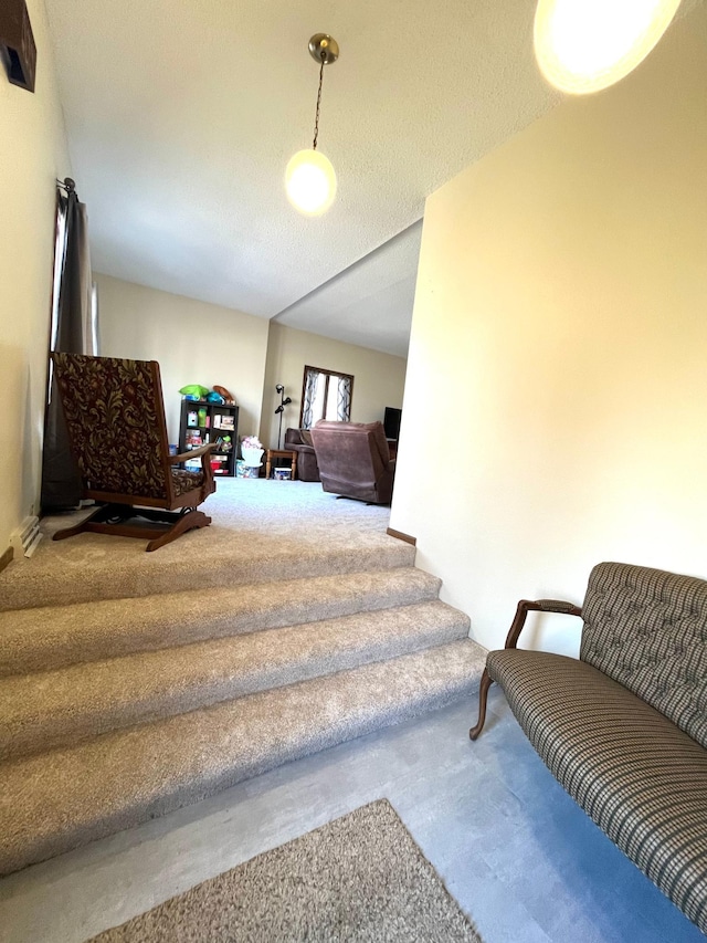 361 Hollett St, Tracy, MN 56175 - stairs with carpet flooring