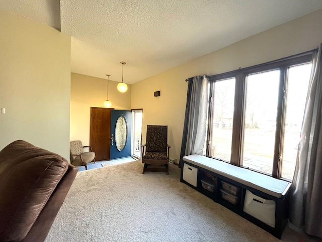 361 Hollett St, Tracy, MN 56175 - sitting room featuring carpet floors and a textured ceiling