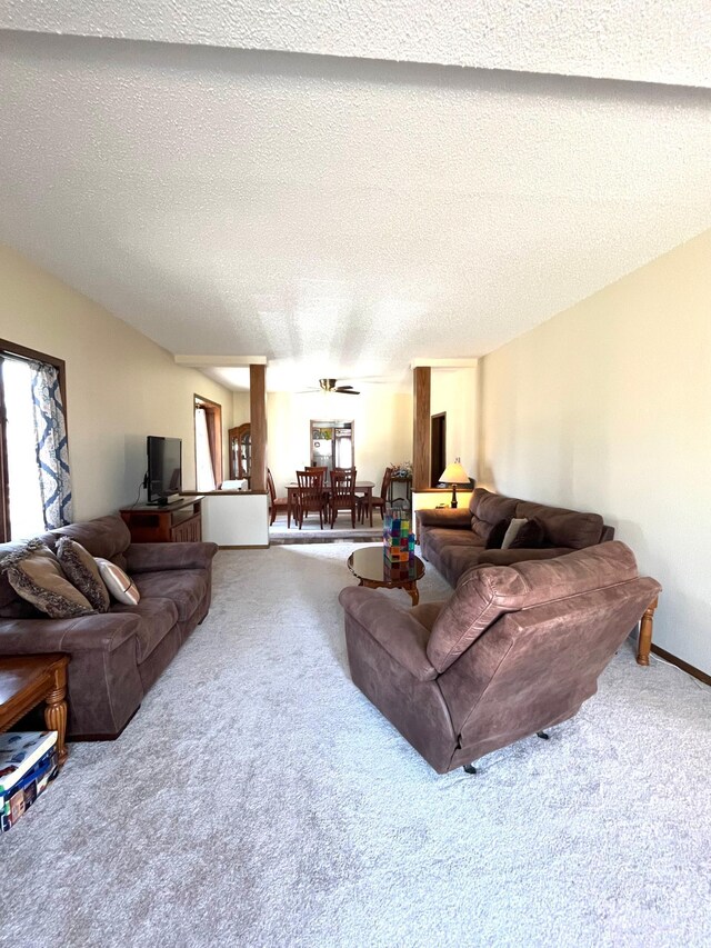 361 Hollett St, Tracy, MN 56175 - carpeted living area featuring a textured ceiling