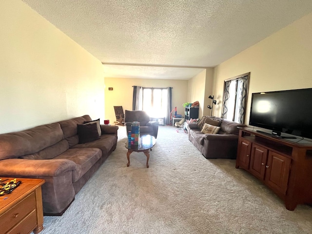 361 Hollett St, Tracy, MN 56175 - living room featuring light colored carpet and a textured ceiling