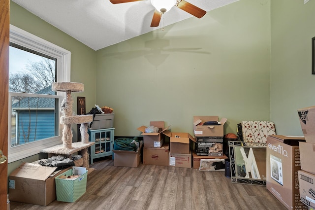 storage with ceiling fan