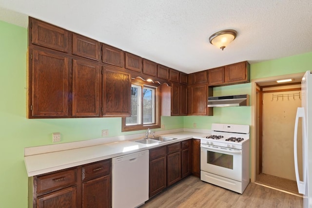 kitchen with under cabinet range hood, a sink, white appliances, light wood-style floors, and light countertops