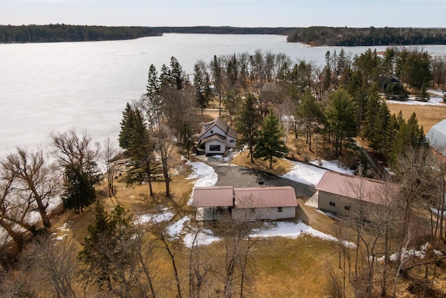 27303 Island Trl, Park Rapids, MN 56470 - birds eye view of property featuring a forest view and a water view