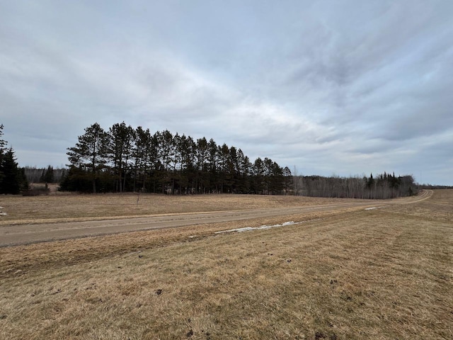 view of yard with a rural view