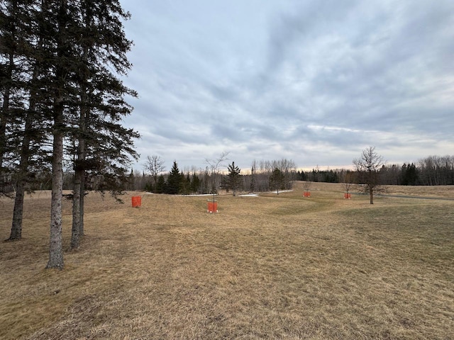 view of yard featuring a rural view