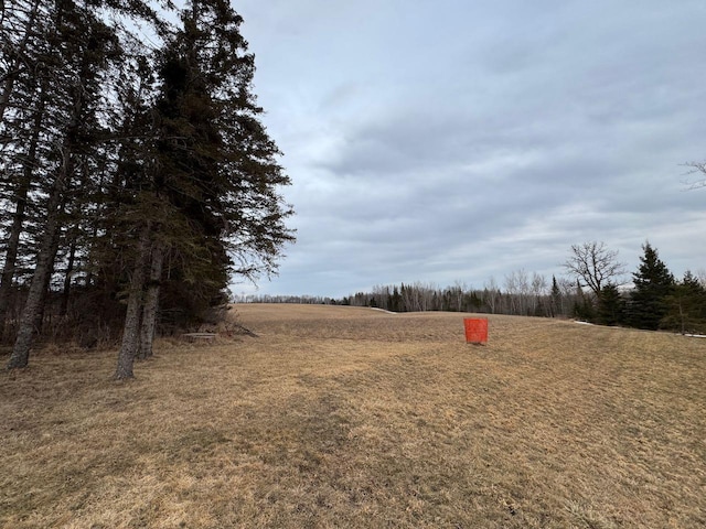 view of yard with a rural view