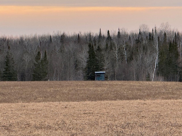 nature at dusk with a wooded view