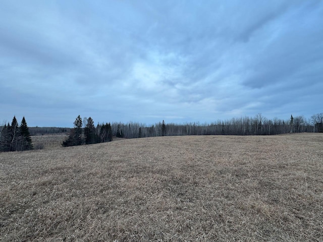 view of local wilderness featuring a rural view