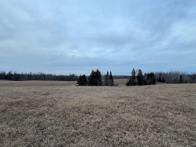 view of yard with a rural view