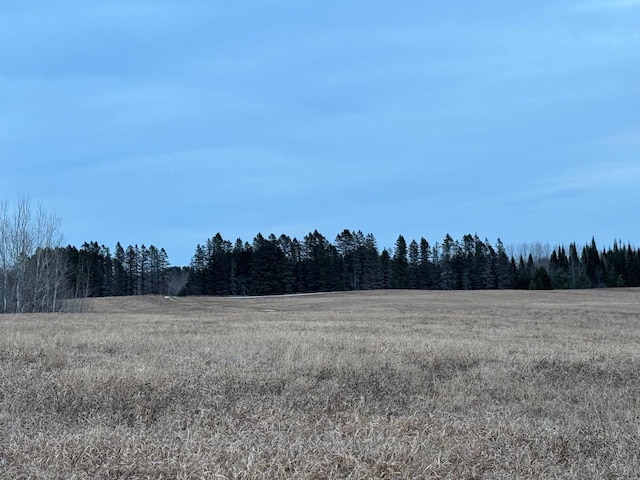 view of local wilderness featuring a wooded view