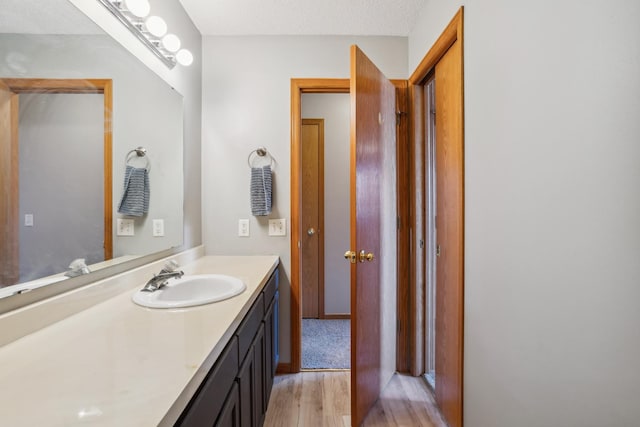 bathroom featuring wood finished floors and vanity