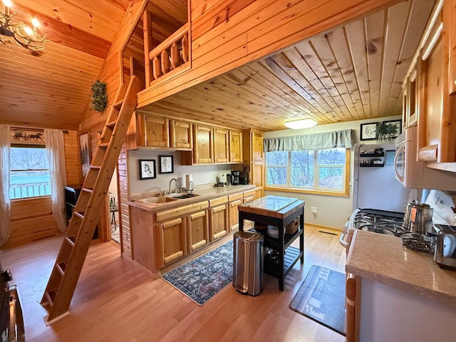 2897 Indian Mound Rd, Luck, WI 54853 - kitchen with a sink, wooden ceiling, plenty of natural light, light wood finished floors, and light countertops