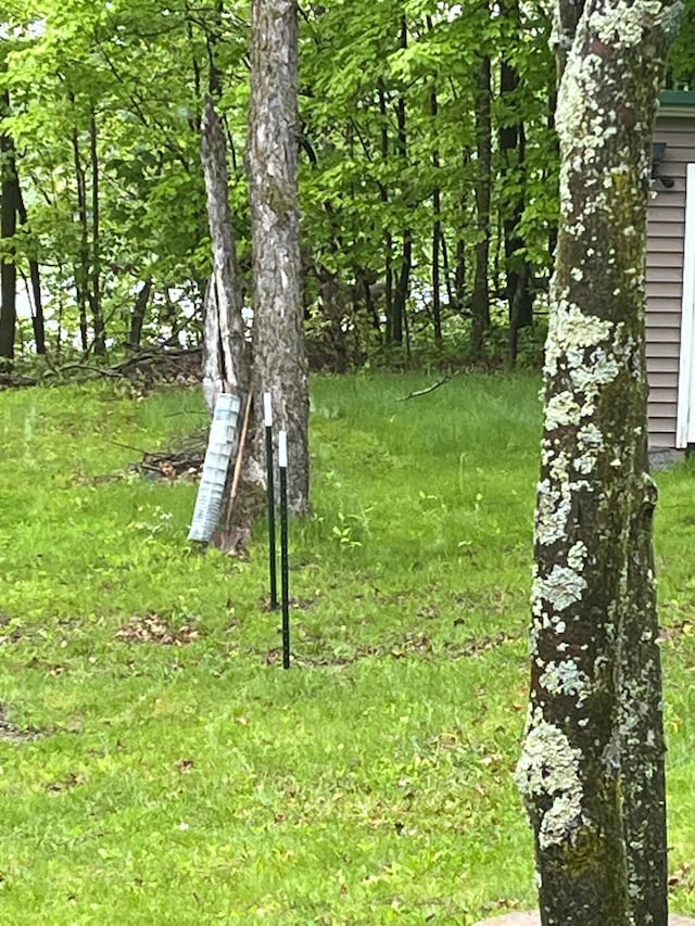 2897 Indian Mound Rd, Luck, WI 54853 - view of yard