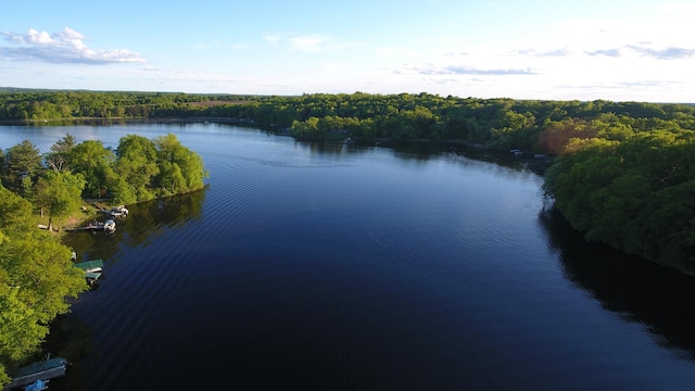2897 Indian Mound Rd, Luck, WI 54853 - water view featuring a forest