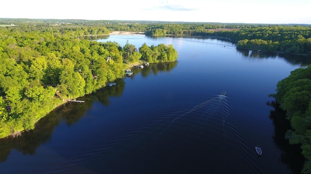 2897 Indian Mound Rd, Luck, WI 54853 - drone / aerial view of a heavily wooded area and a nearby body of water