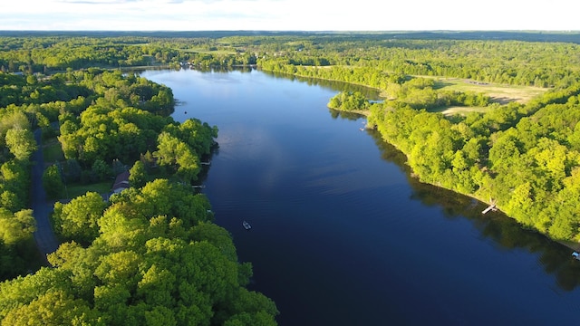 2897 Indian Mound Rd, Luck, WI 54853 - bird's eye view of a heavily wooded area and a large body of water