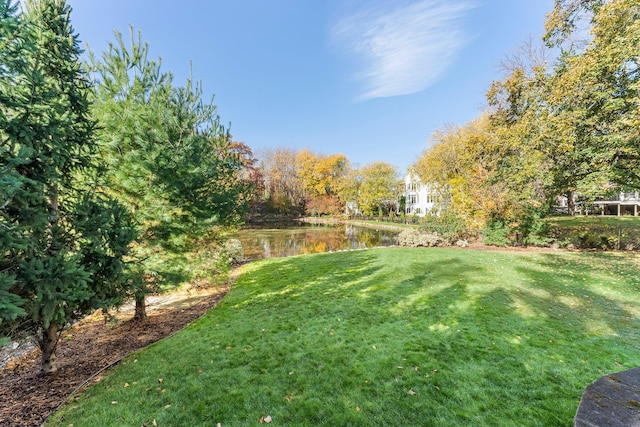 view of yard featuring a water view