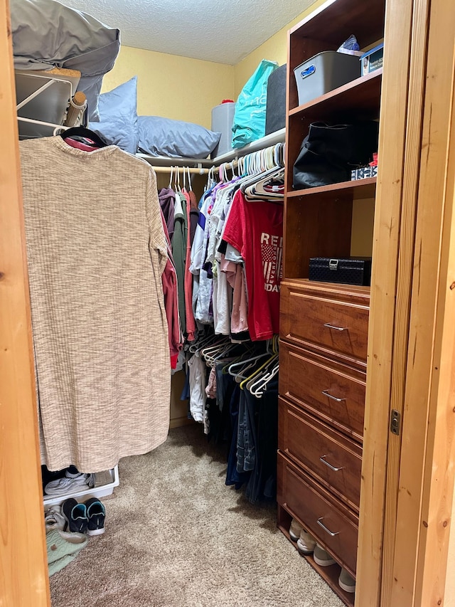 walk in closet featuring carpet flooring