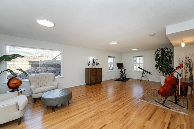 living area featuring baseboards and light wood-style floors