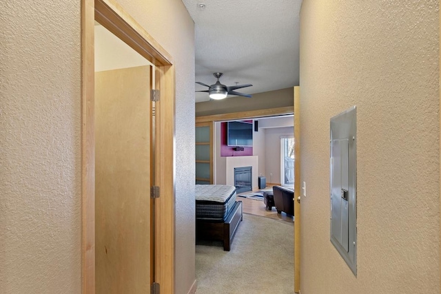 hallway featuring electric panel, a textured wall, and carpet floors