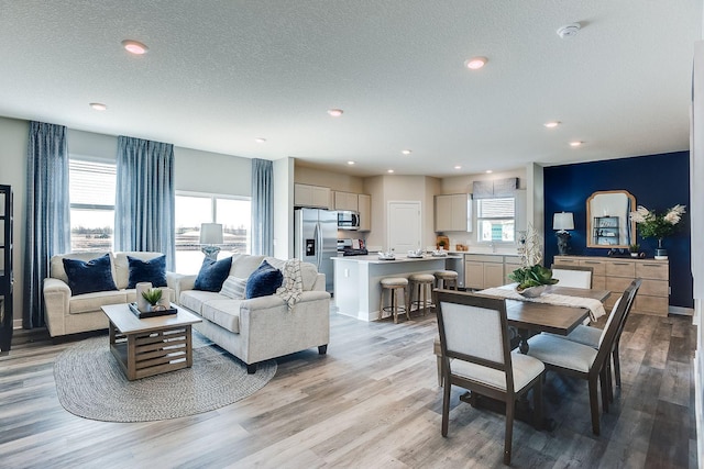 12376 81st St NE, Otsego, MN 55330 - living room with light wood-type flooring, a textured ceiling, and recessed lighting