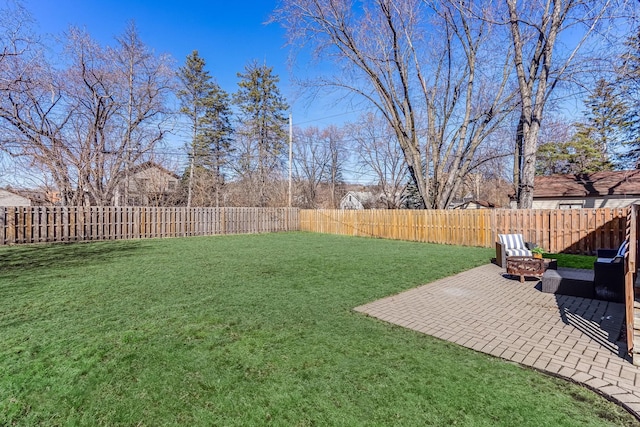 view of yard featuring a patio area and a fenced backyard