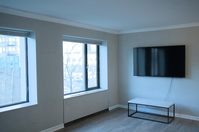 interior space with wood finished floors, baseboards, and ornamental molding