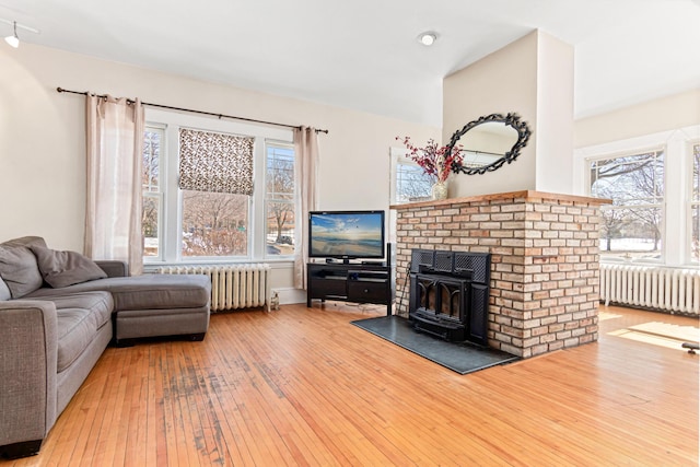 living area featuring radiator and wood-type flooring