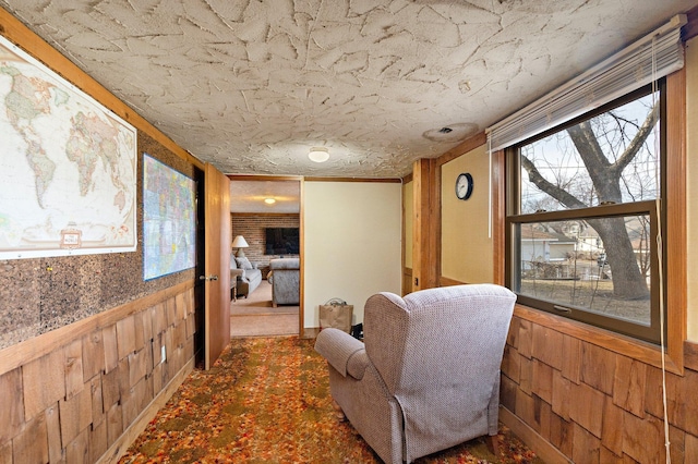 living area featuring carpet flooring, plenty of natural light, wood walls, and wainscoting