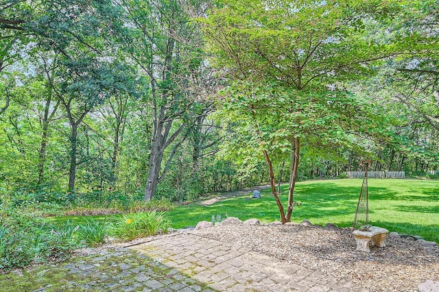 view of yard featuring a forest view, a patio, and fence