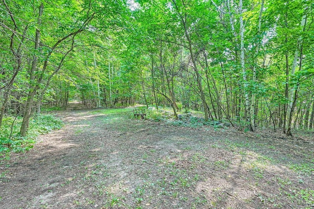 view of yard featuring a forest view