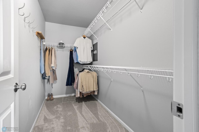 walk in closet featuring carpet flooring