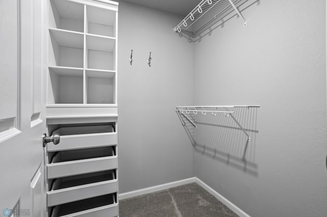 walk in closet featuring carpet floors