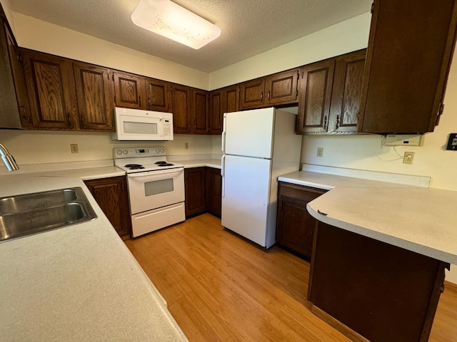 kitchen with light wood-type flooring, a sink, white appliances, dark brown cabinetry, and light countertops