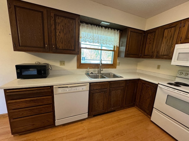 kitchen with white appliances, light wood-style flooring, a sink, light countertops, and dark brown cabinetry