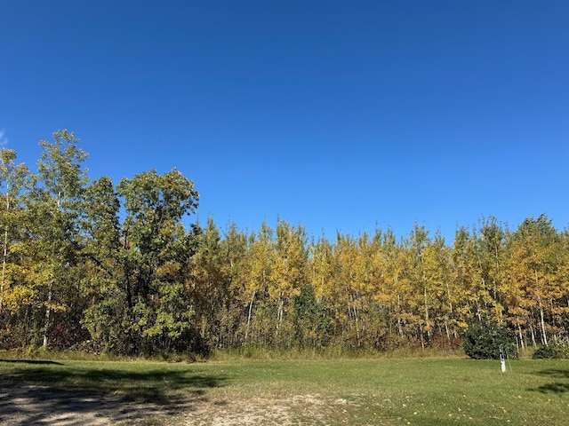 view of landscape with a wooded view