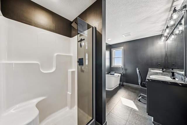 35647 Oxford Ave, Chisago Lake Twp, MN 55012 - full bath featuring a stall shower, a textured ceiling, double vanity, baseboards, and tile patterned flooring