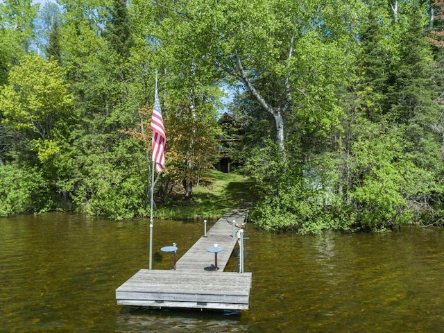 view of dock with a water view