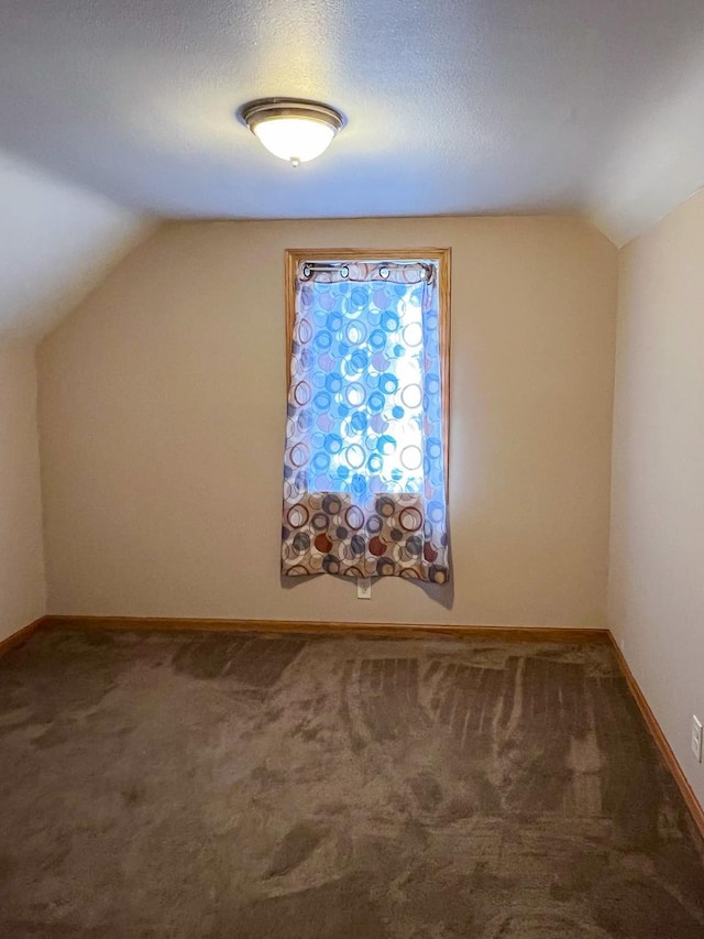 additional living space featuring carpet flooring, a textured ceiling, baseboards, and vaulted ceiling