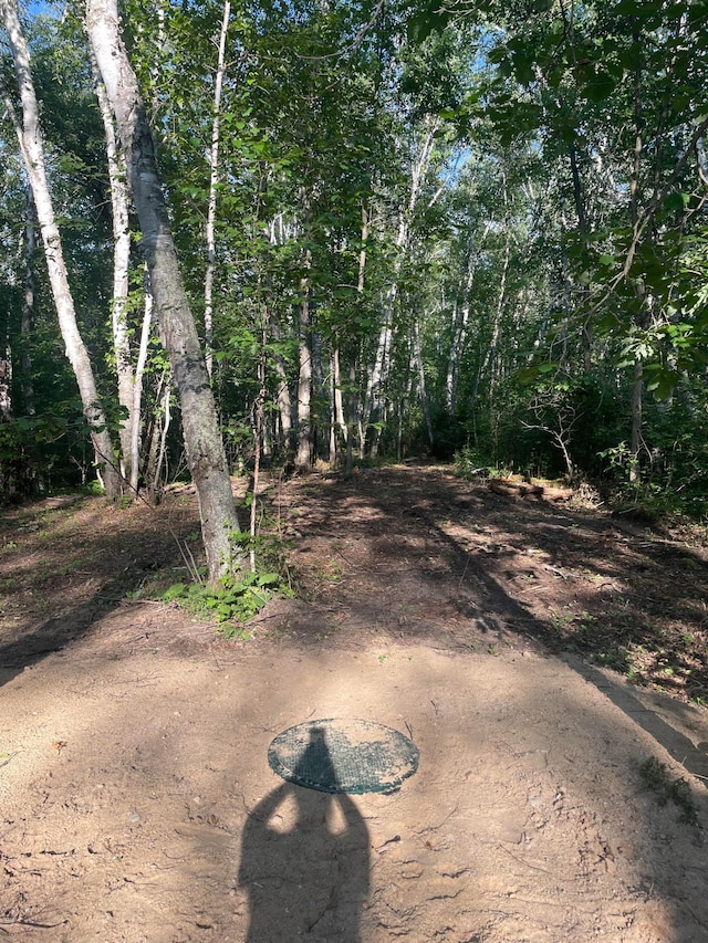 1544 Willard Lake Rd NW, Backus, MN 56435